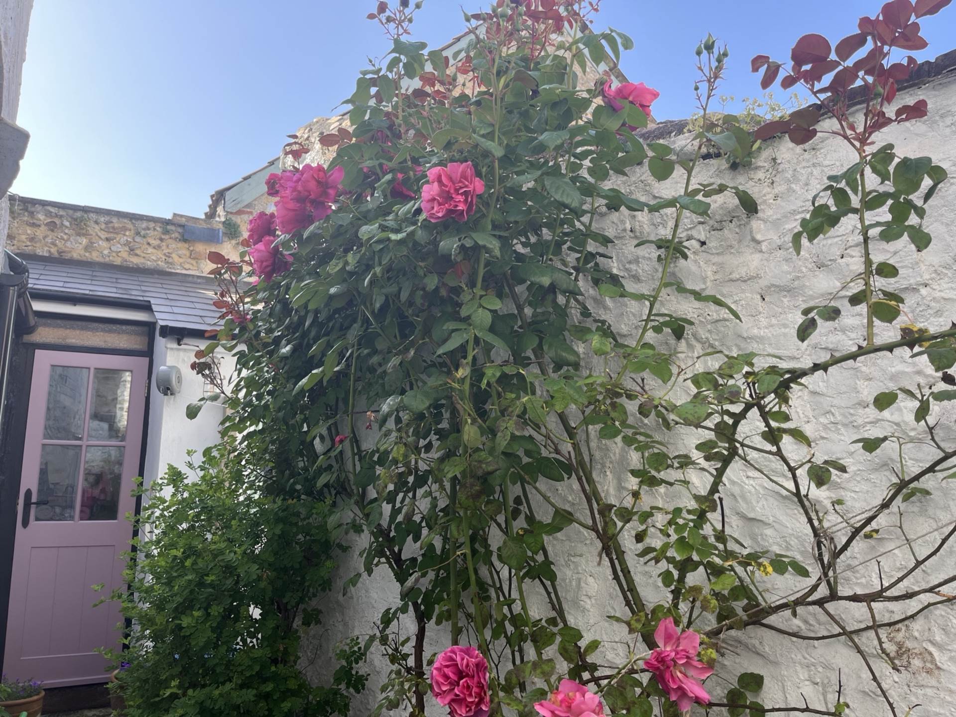 School Lane, Colyton.Devon, Image 18