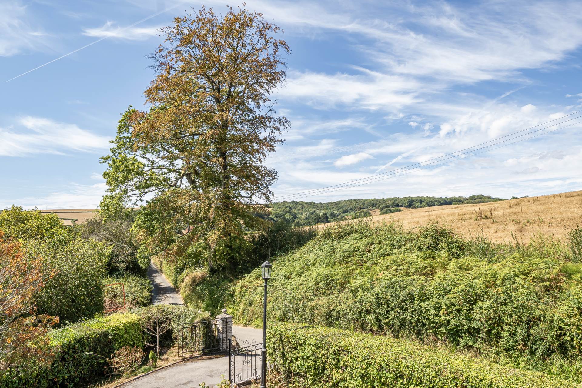 Wadley Hill, Uplyme, Lyme Regis, Image 11