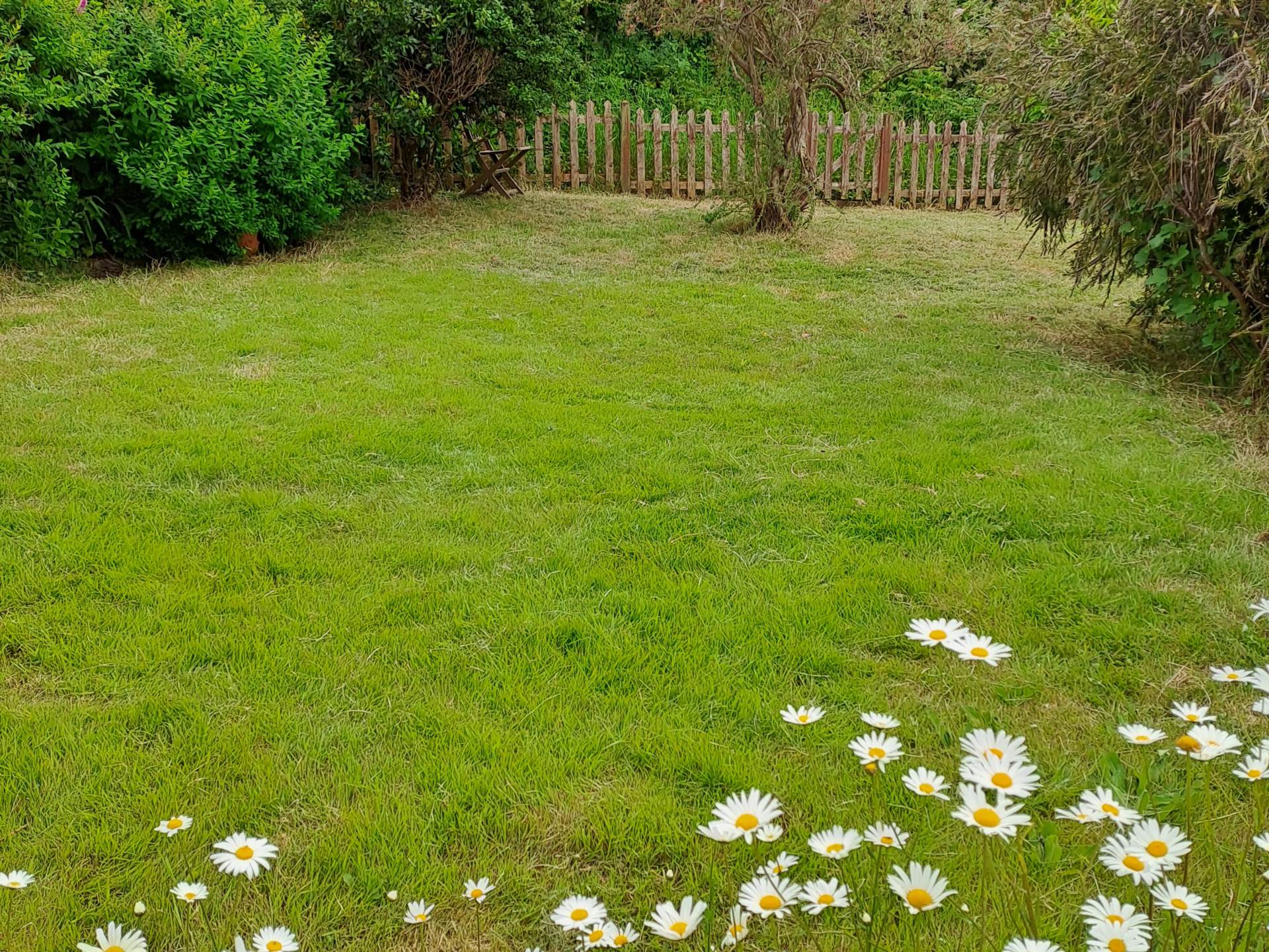 Burnards Field Road, Colyton, Devon, Image 20