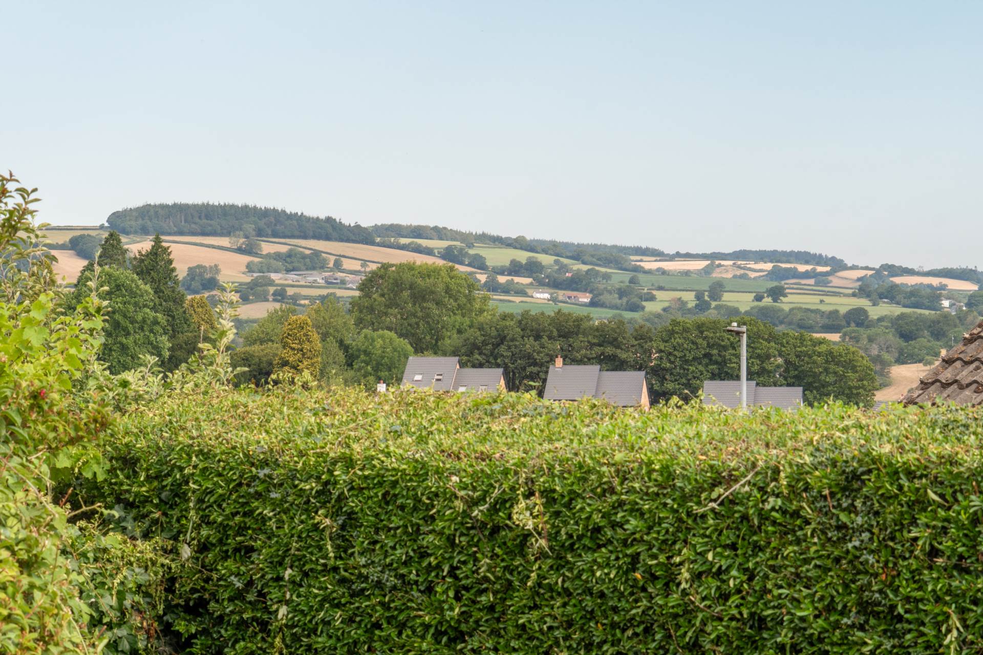 Burnards Field Road Colyton, Devon, Image 13