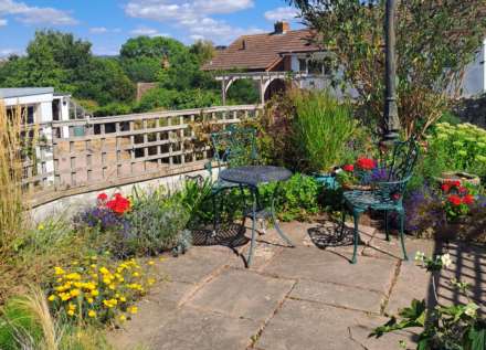 Hillhead, Colyton, Devon, Image 4
