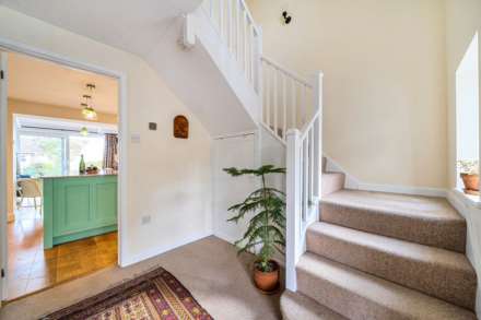 Hillhead, Colyton, Devon, Image 5