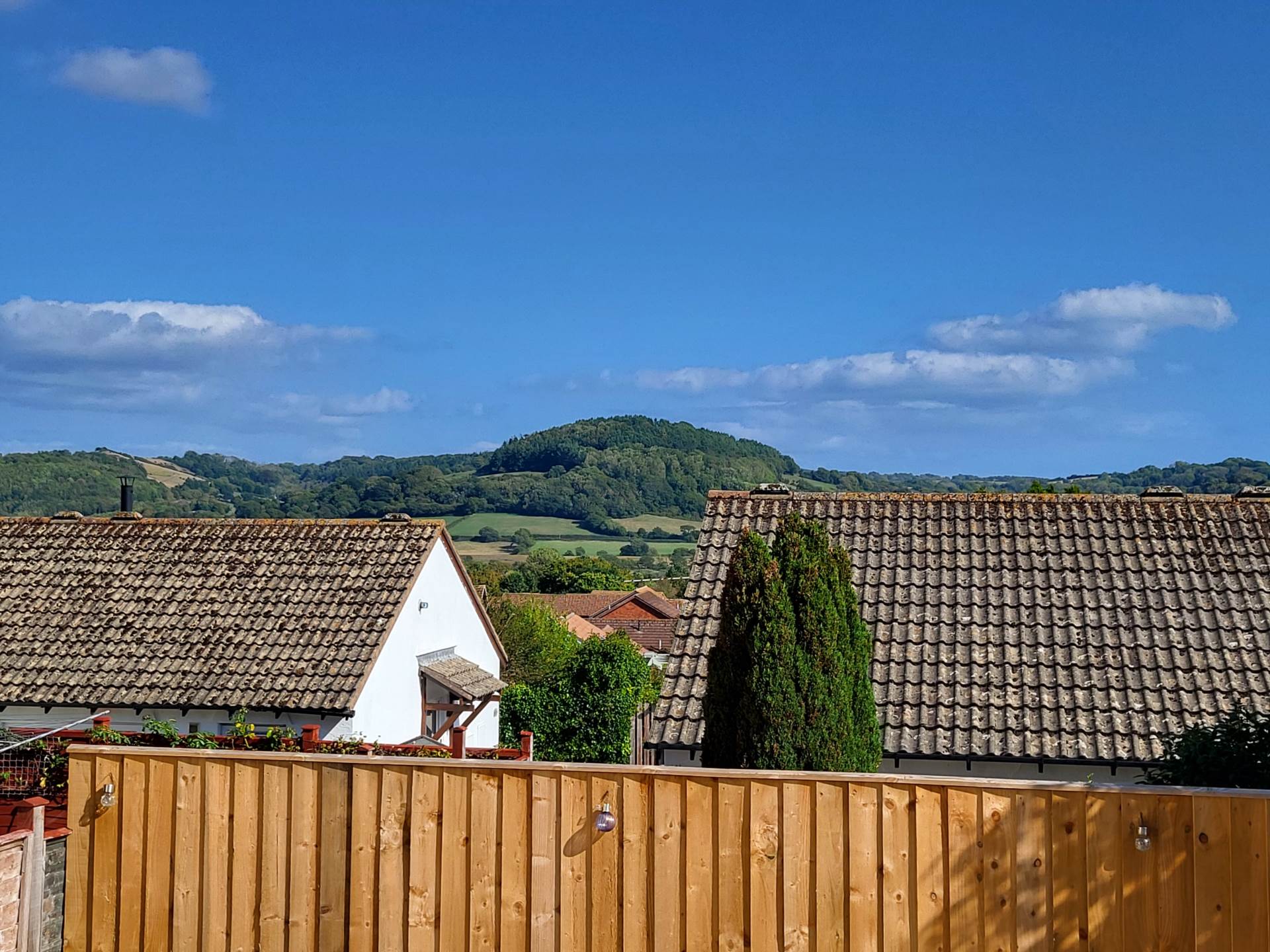 Ash Grove, Seaton, Devon, Image 12