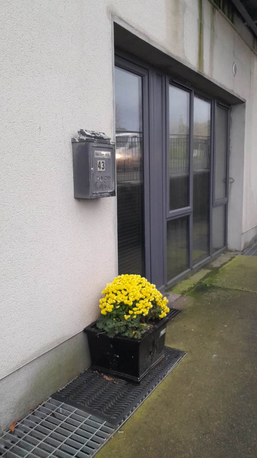 Ocean Point, Courtown