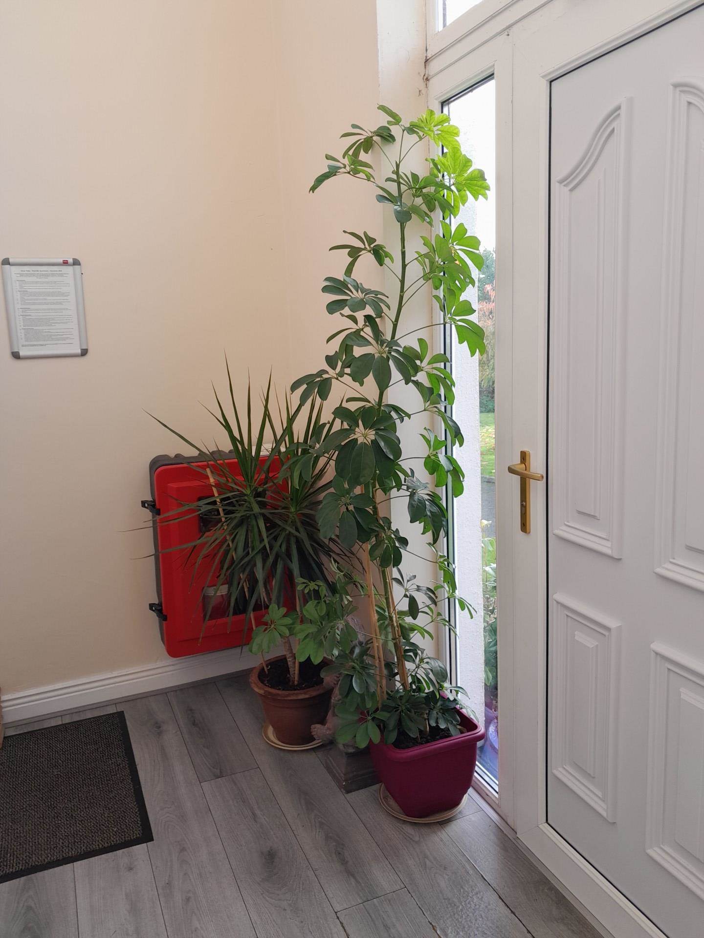 Townville, St Marys Road, Arklow, Co Wicklow Townville, St Marys Road, Arklow, Co Wicklow