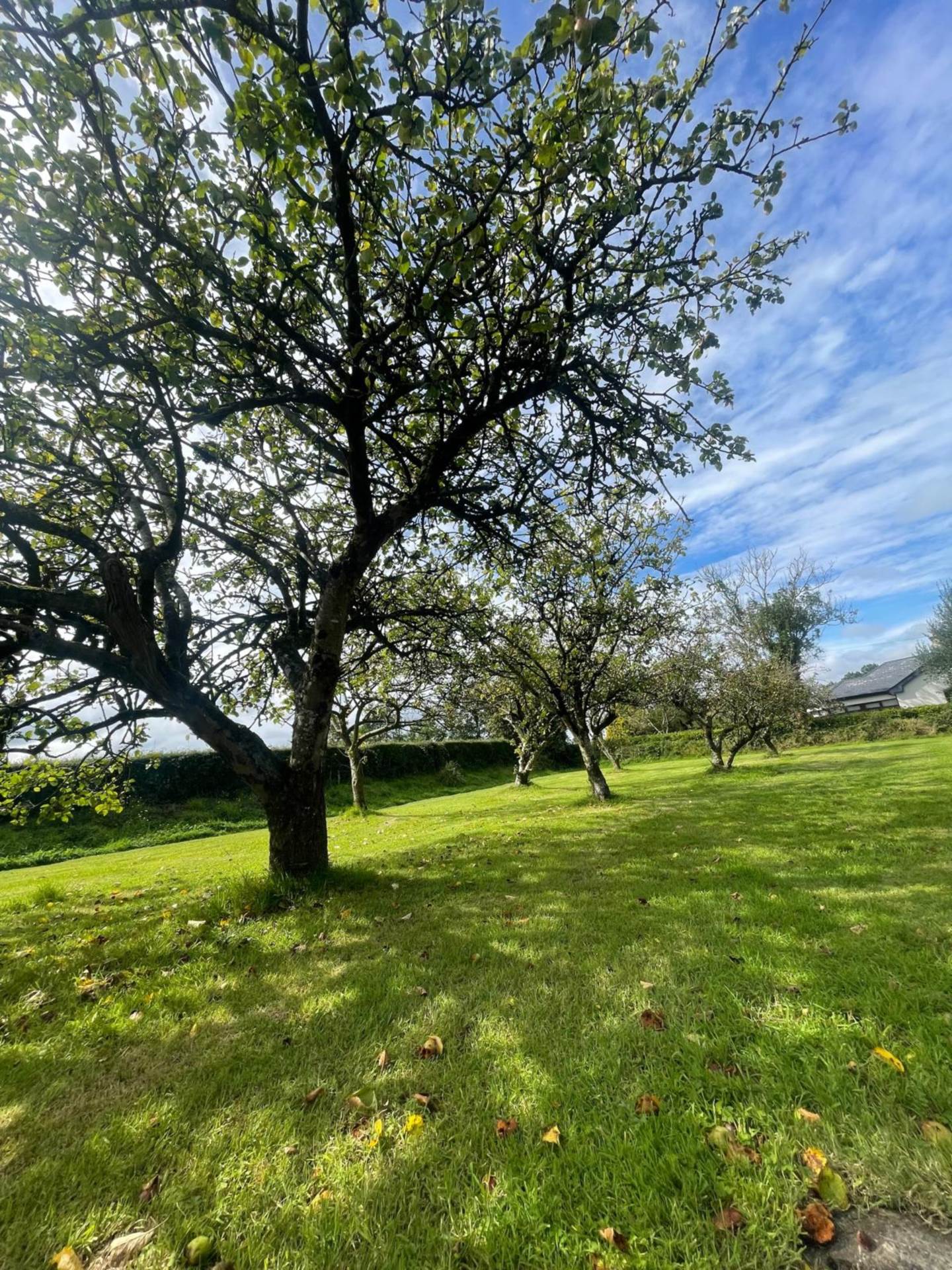 Raheen More, Killenagh, Gorey, Co. Wexford