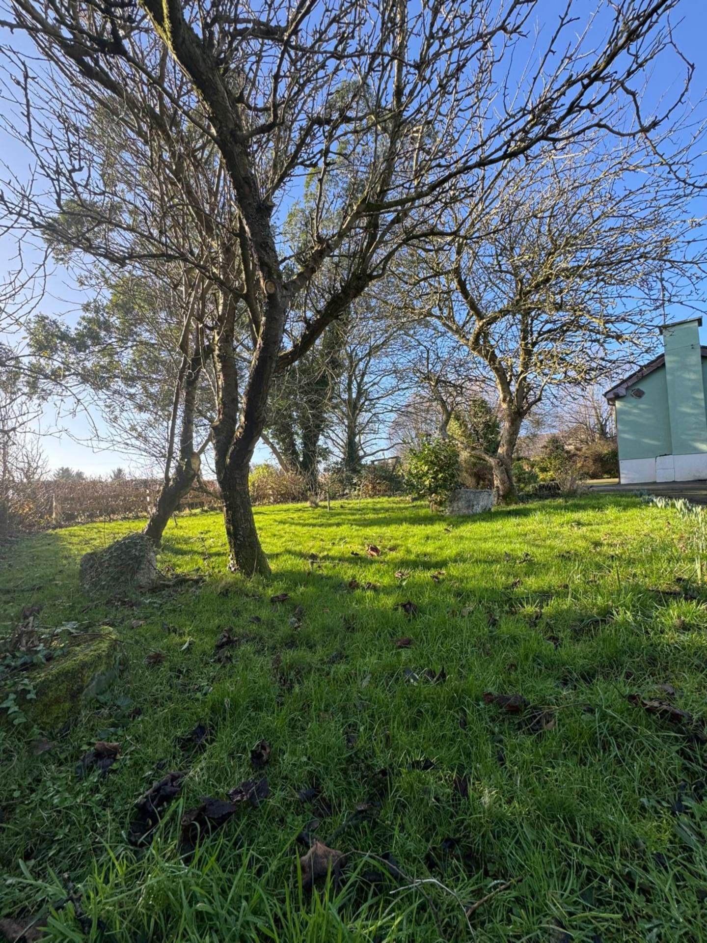 Craanford, Gorey, Co. Wexford