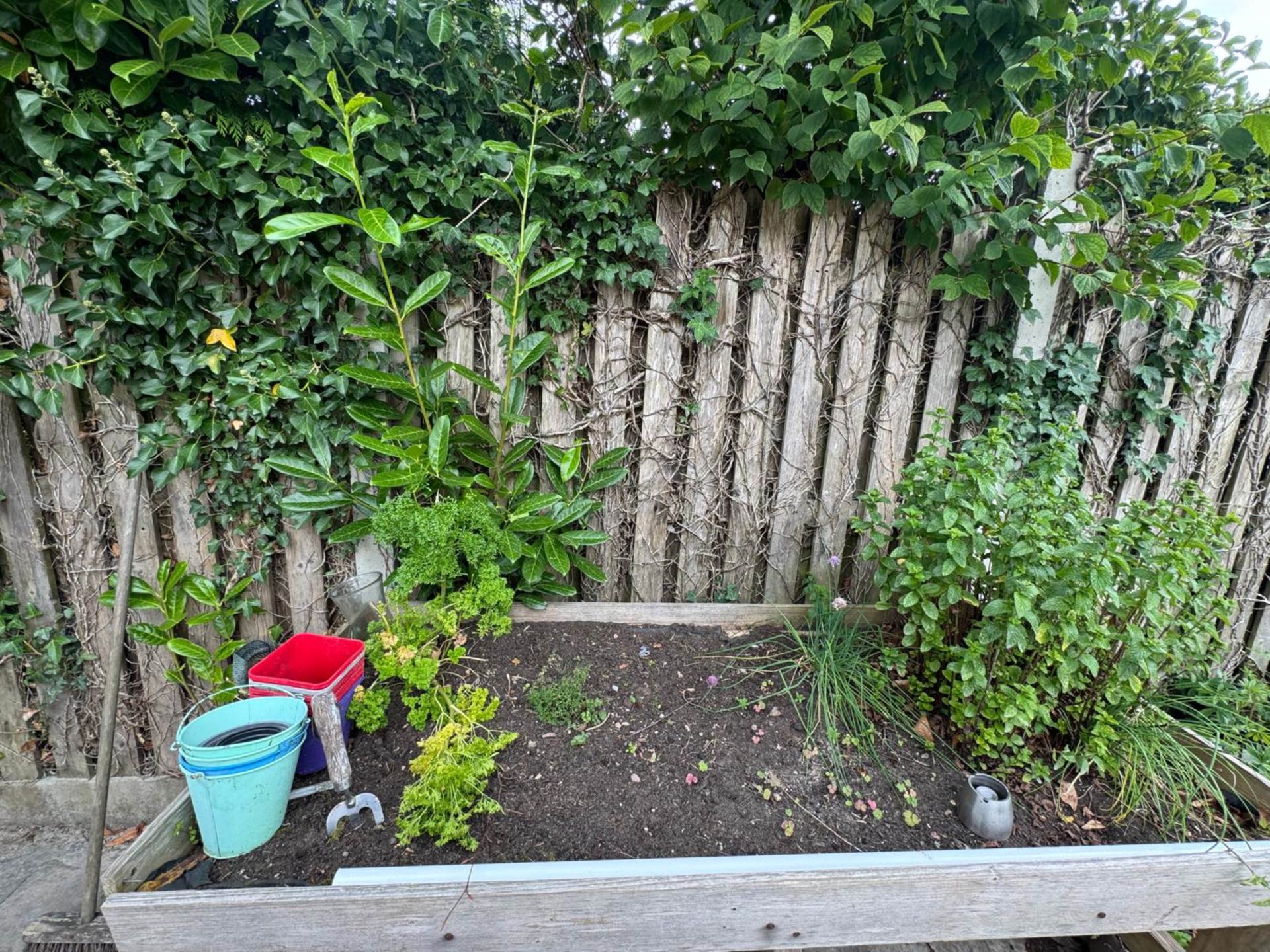 Ramsfort Park, Gorey, Co. Wexford