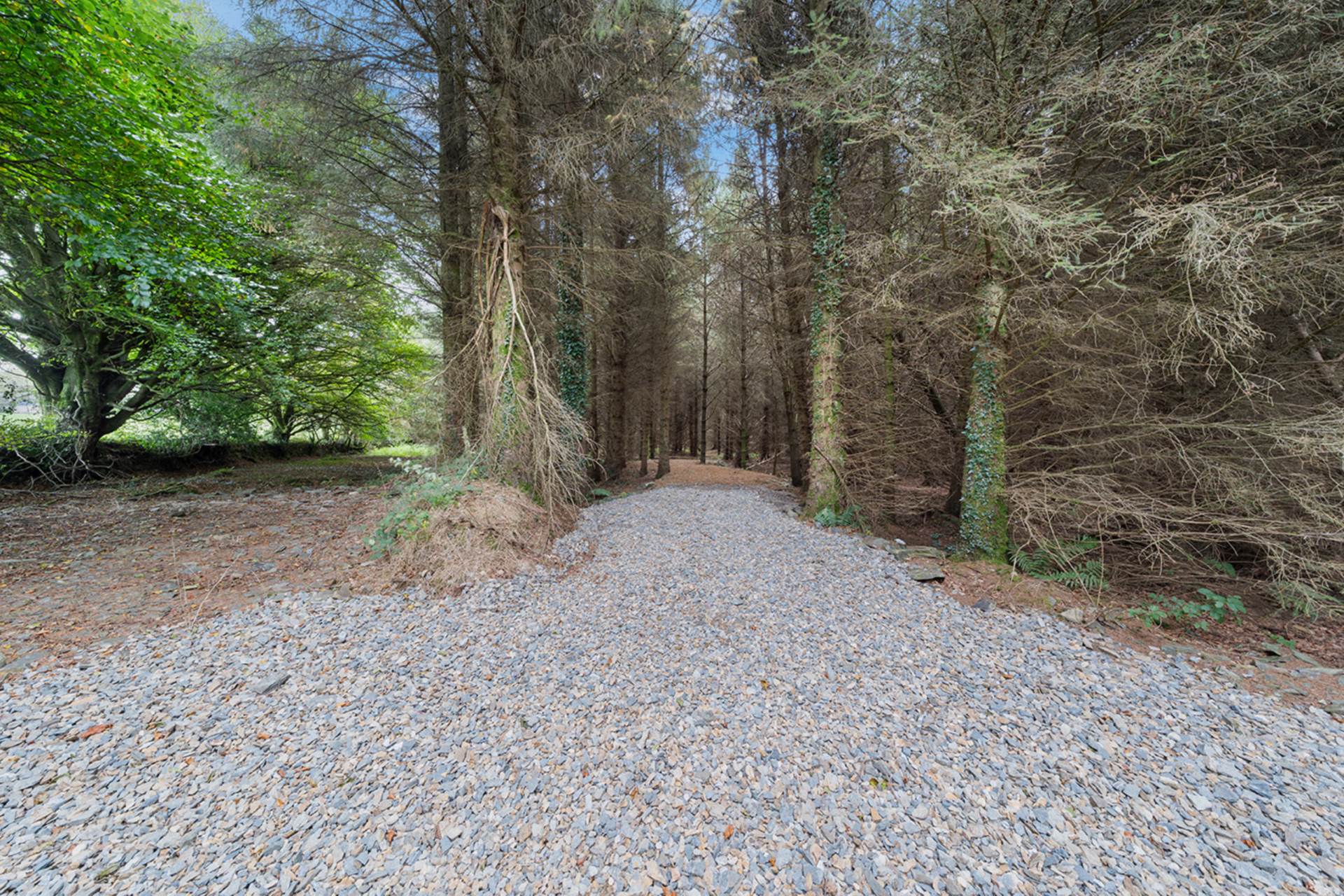 Craanbridge House, Craan, Gorey, Co. Wexford, Y25 XF10