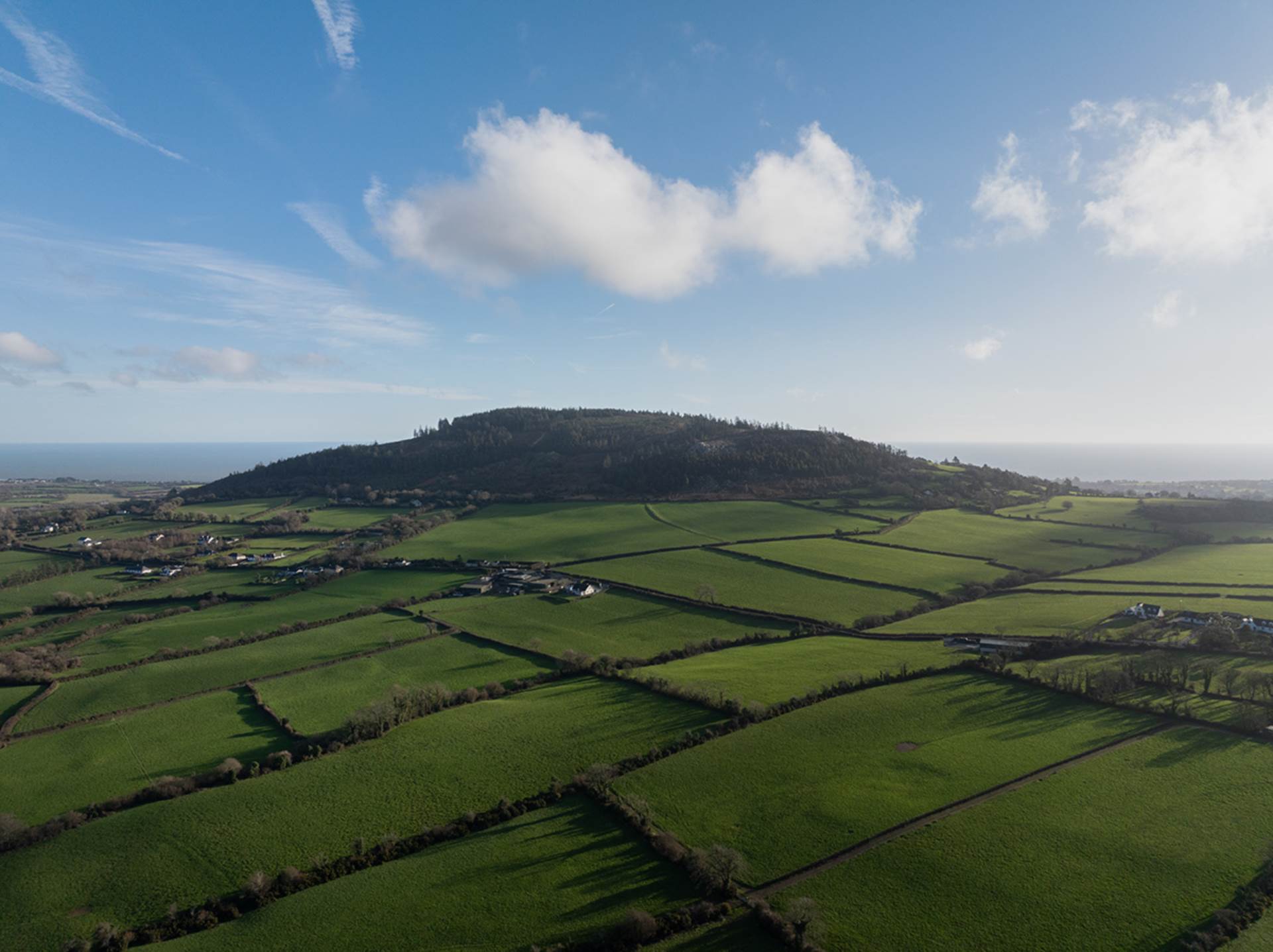 Tubberduff, Gorey, Co. Wexford, Y25 R6W6