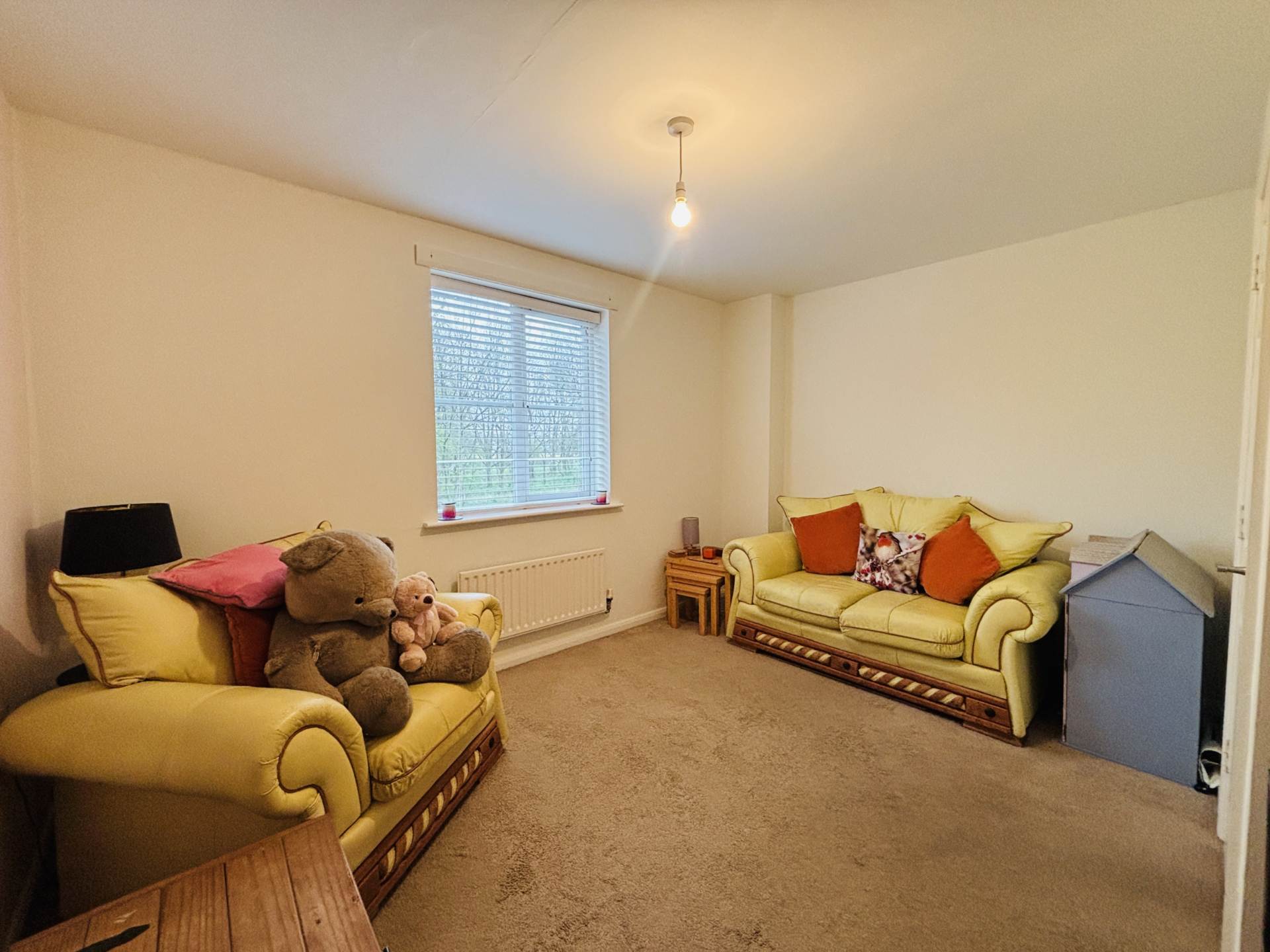 Brampton Close, Park Meadows, Image 11