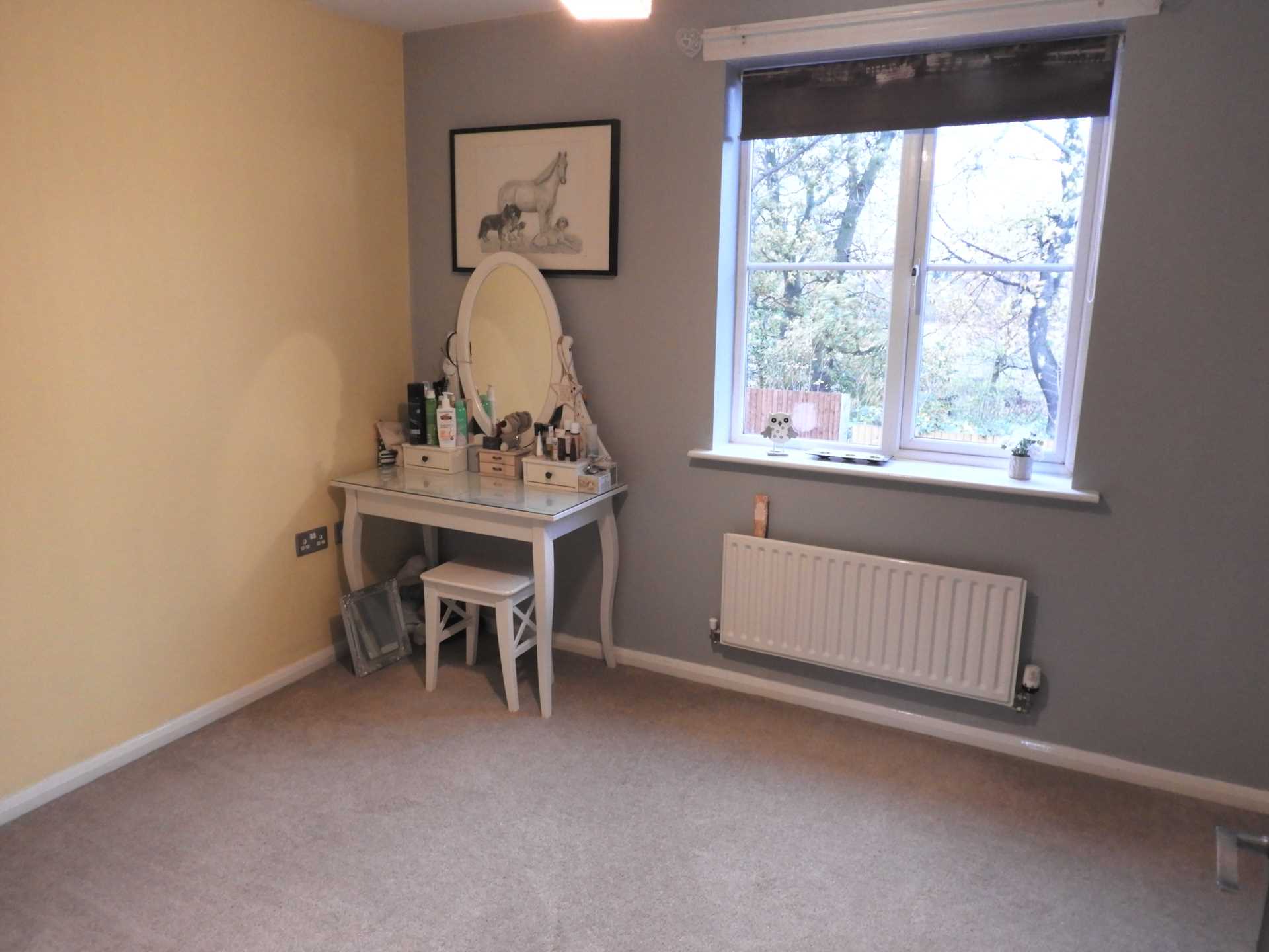Brampton Close, Park Meadows, Image 12