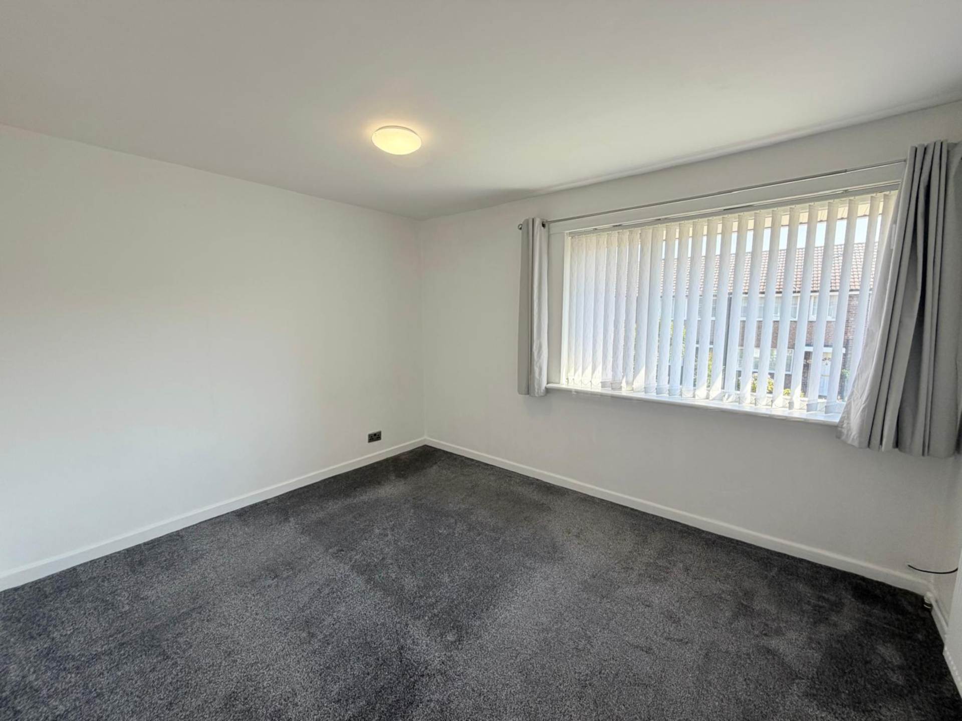 Pauline Walk, Liverpool, Image 6