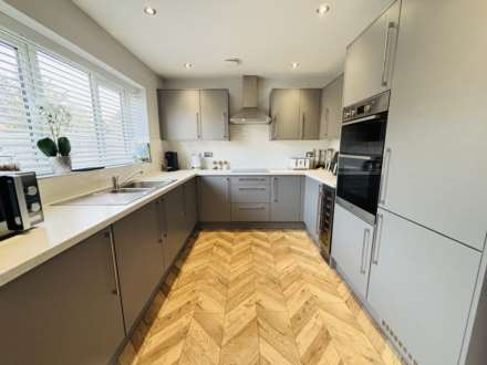 Woodhouse Road, Mulberry Park, Image 4