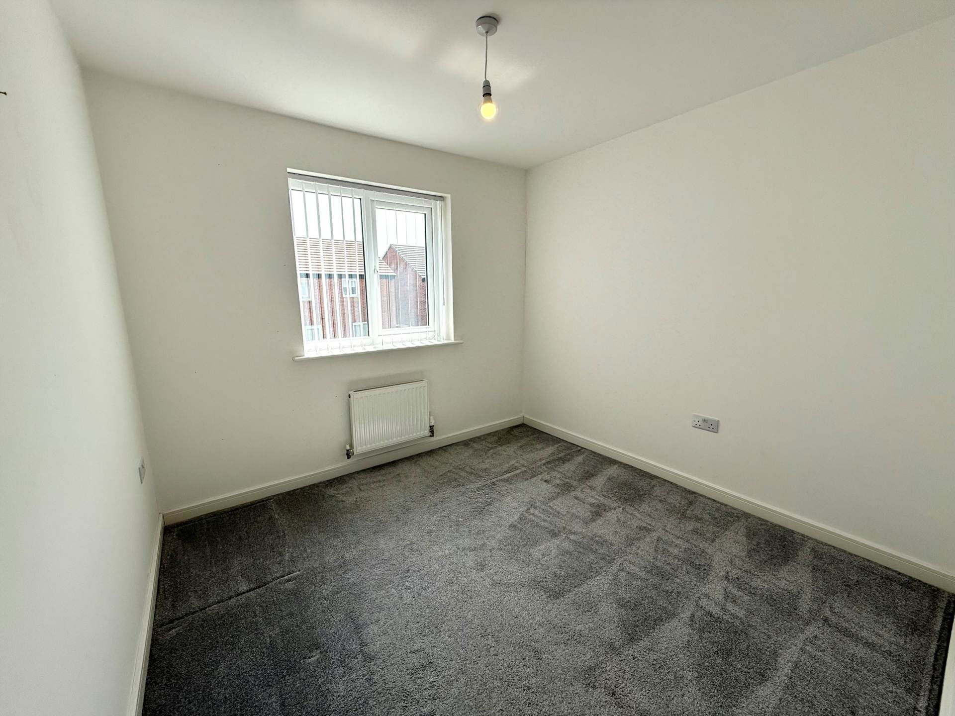 Sapling Crescent, Acornfields, Image 15