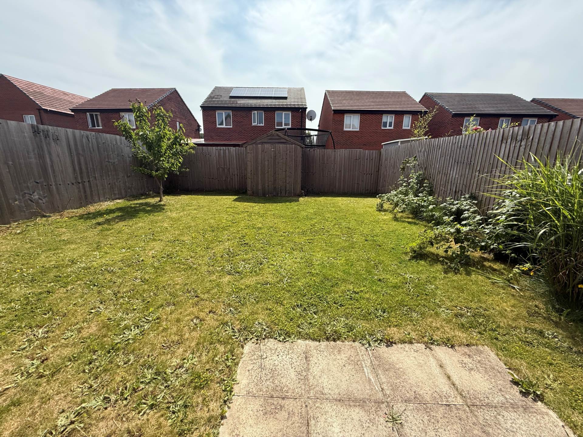 Sapling Crescent, Acornfields, Image 4