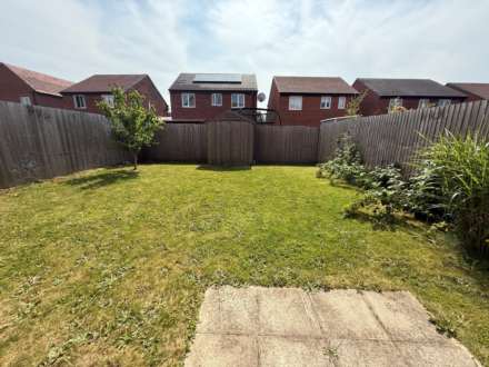 Sapling Crescent, Acornfields, Image 4