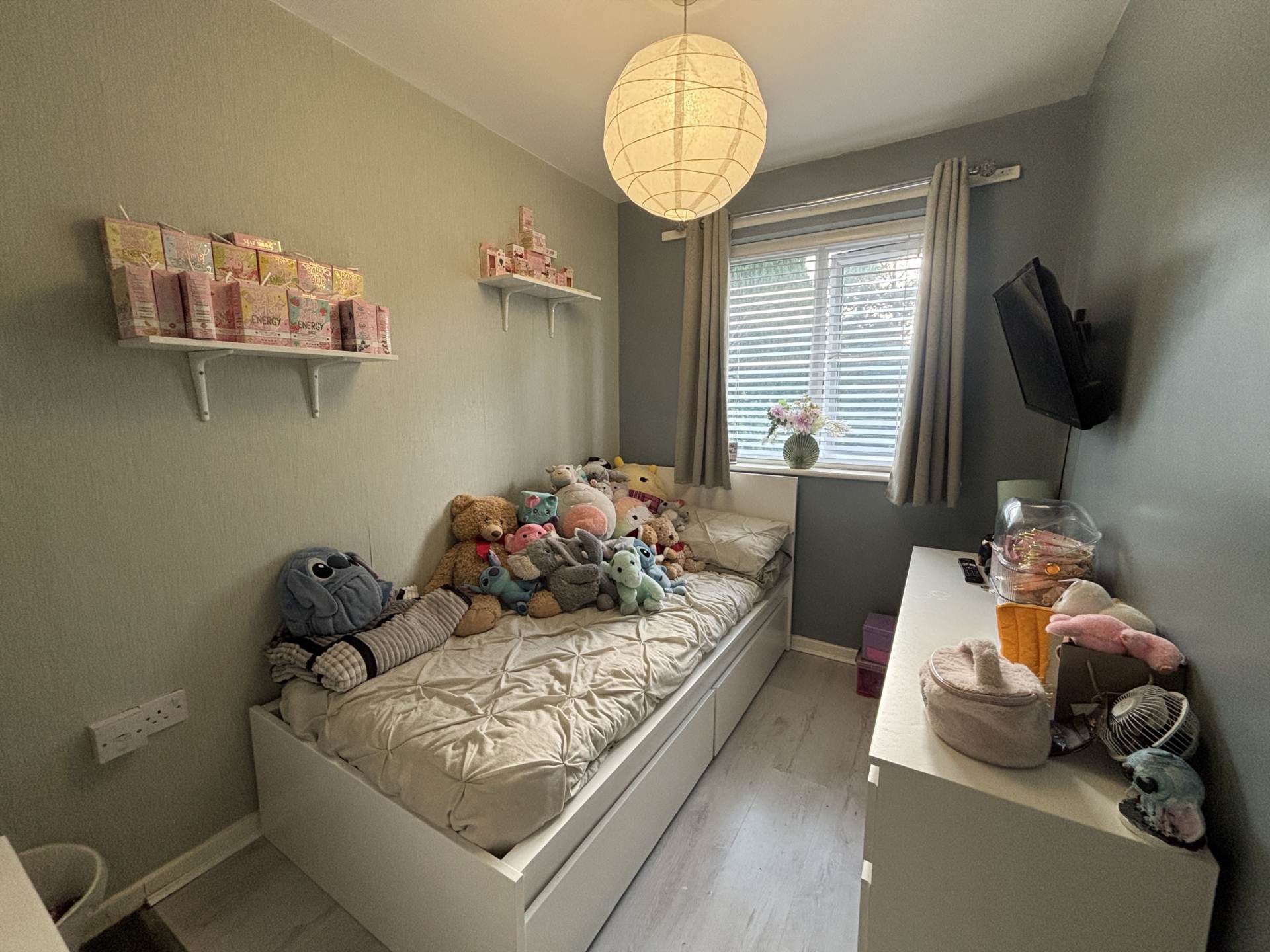 Everdon Wood, Northwood, Image 13