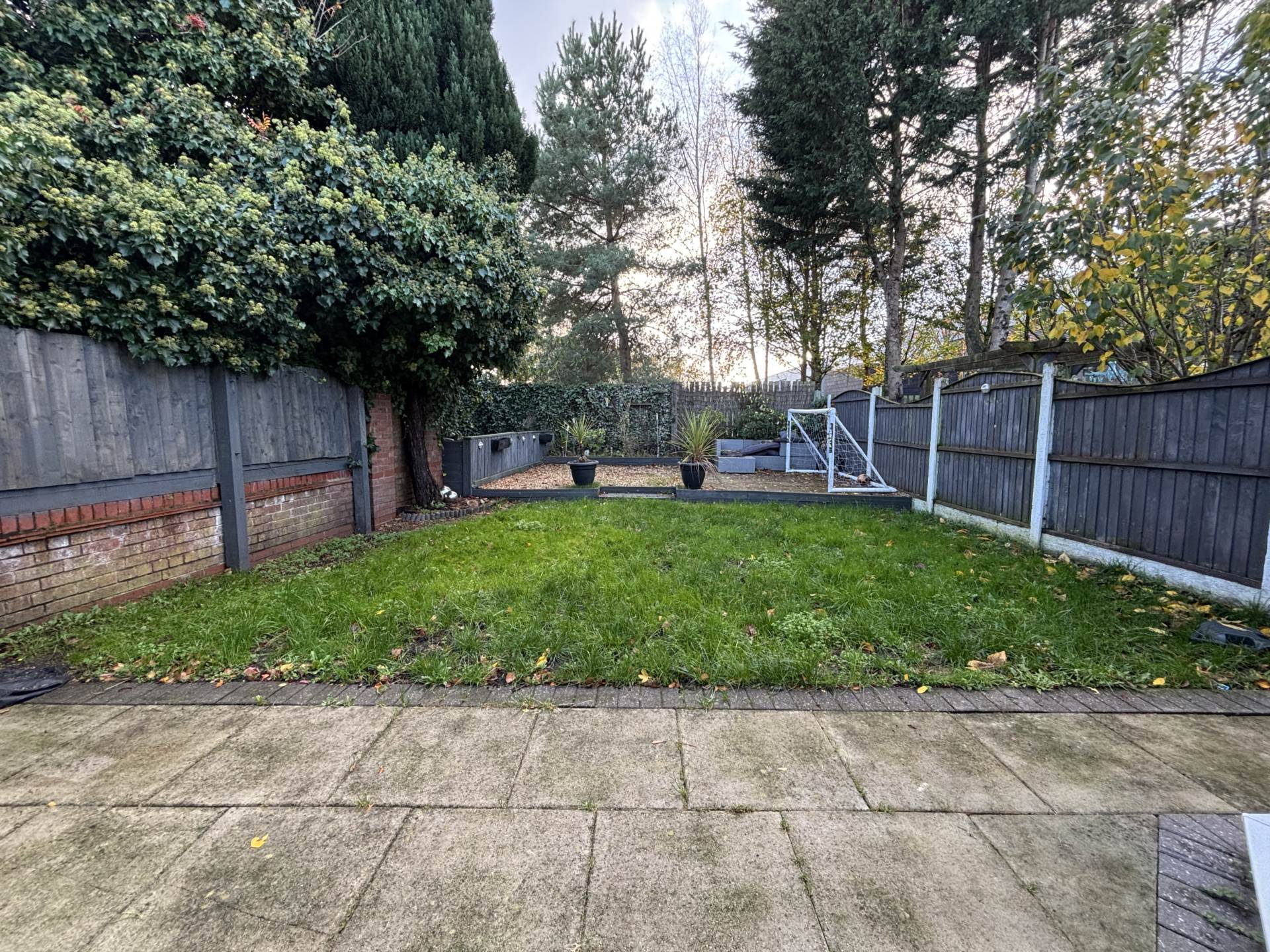 Everdon Wood, Northwood, Image 17