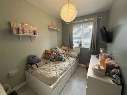 Everdon Wood, Northwood, Image 13