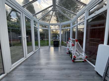 Everdon Wood, Northwood, Image 7