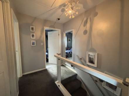 Everdon Wood, Northwood, Image 8