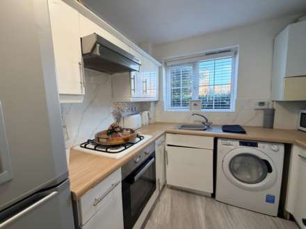 Saxon Way, Littledale, Image 5