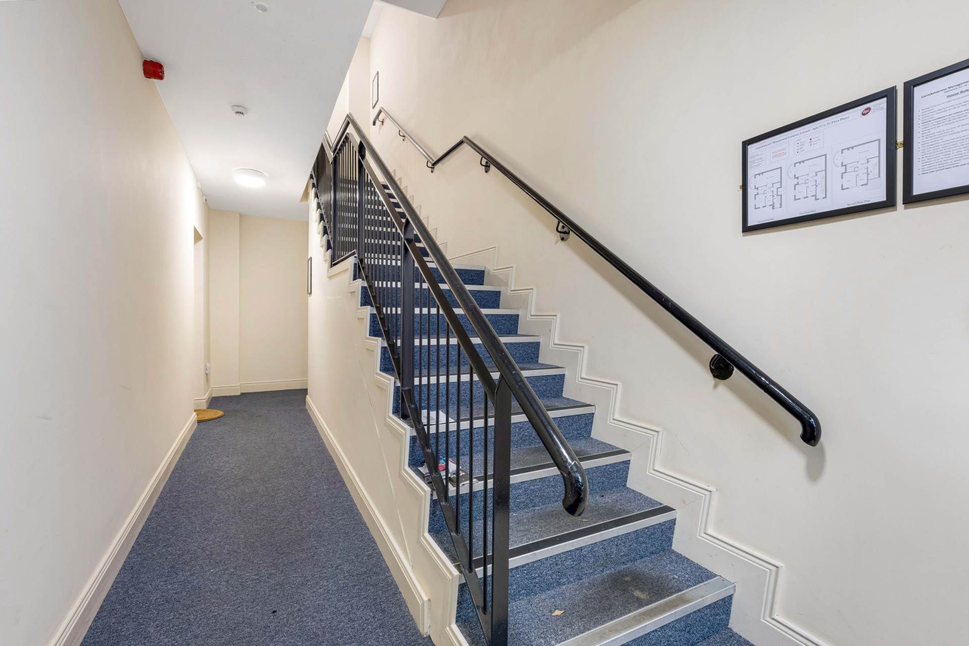 54 An Bothair Na Carraig, Lis Na Dara