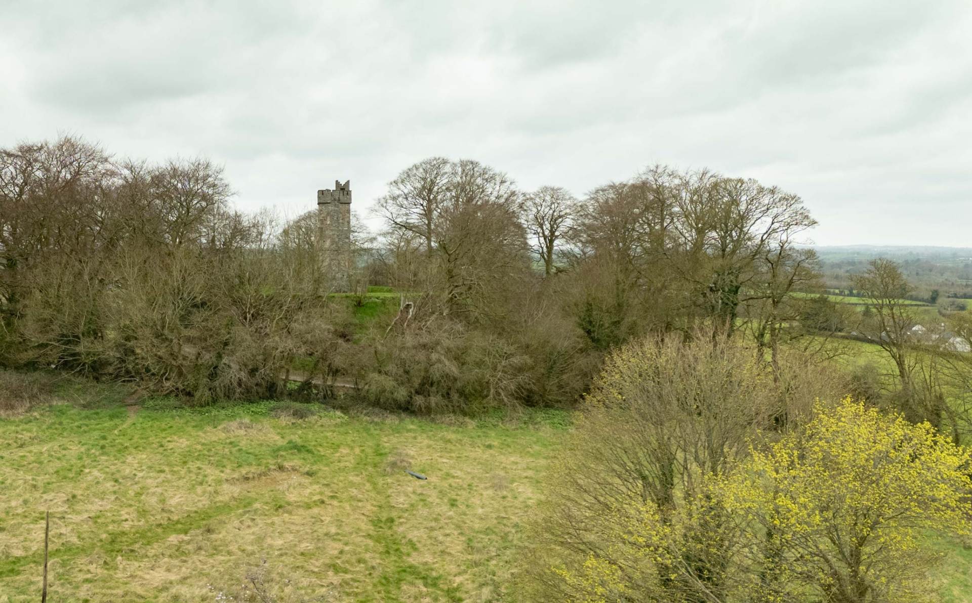 4 The Paddock Mount Avenue Dundalk Co Louth A91 F6P5