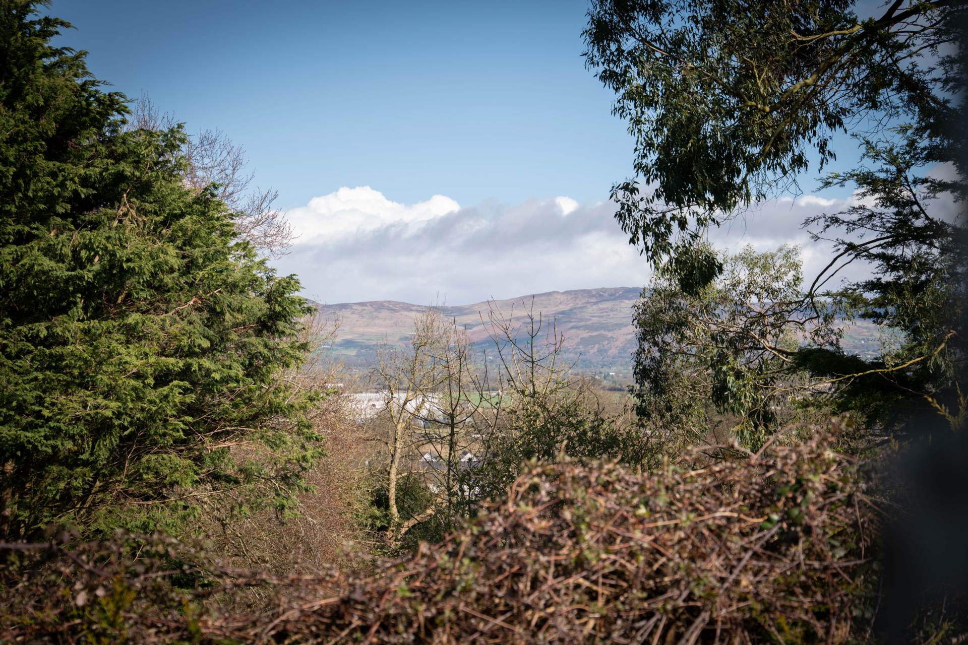 4 The Paddock Mount Avenue Dundalk Co Louth A91 F6P5