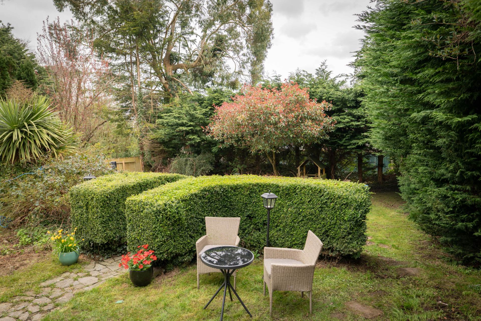 4 The Paddock Mount Avenue Dundalk Co Louth A91 F6P5