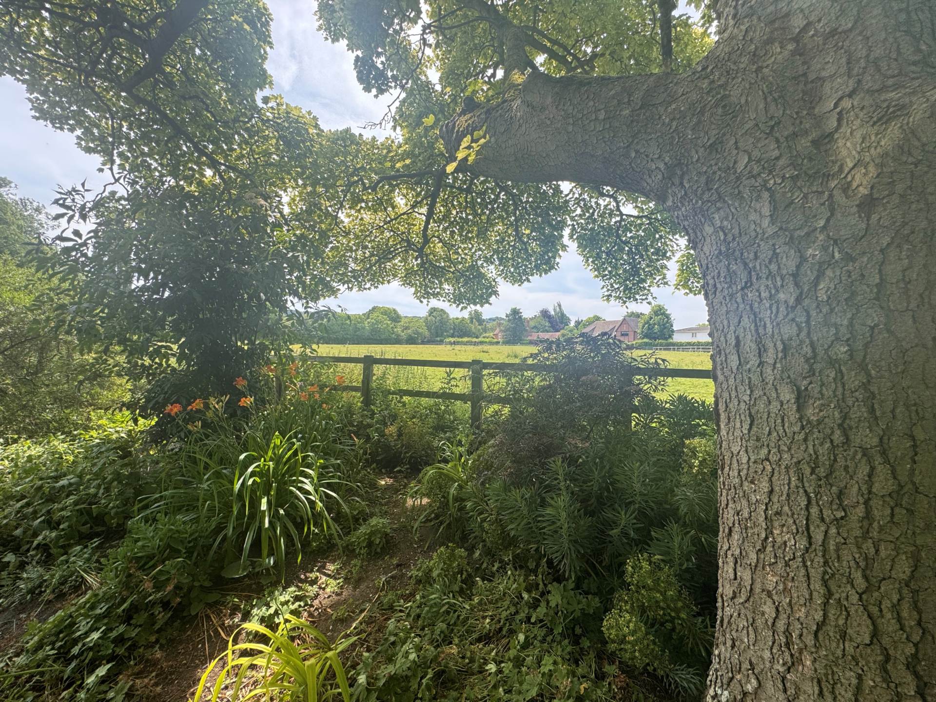 Aston Park, Aston Rowant, Image 24