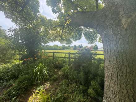 Aston Park, Aston Rowant, Image 24