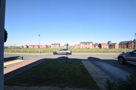 Lane Ness, Benson, Image 21