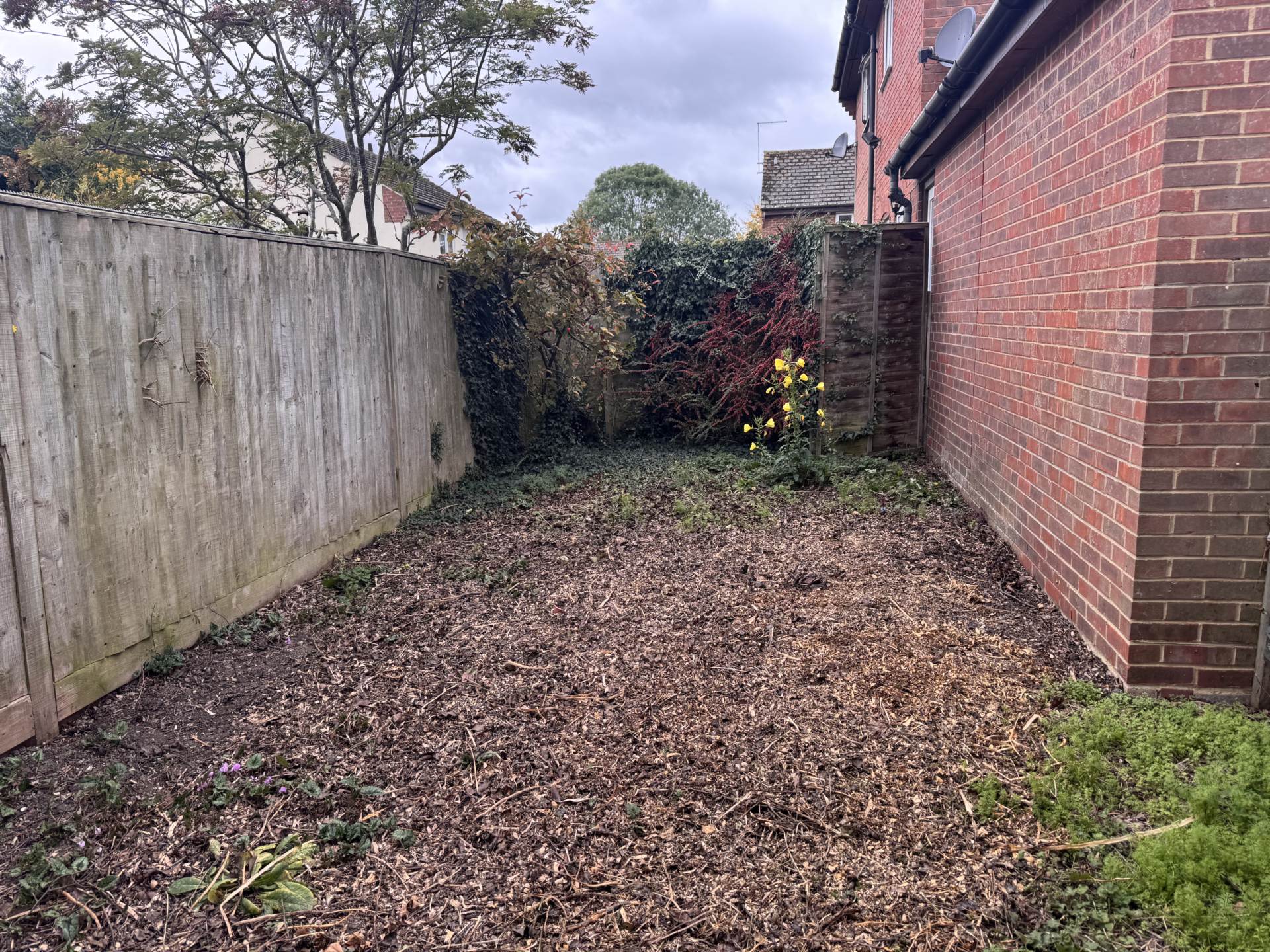 Ash Close, Watlington, Image 9
