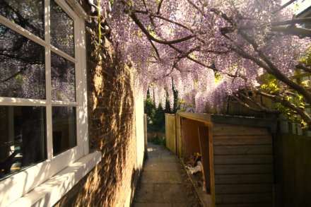 Chestnut Grove, New Malden, Image 14