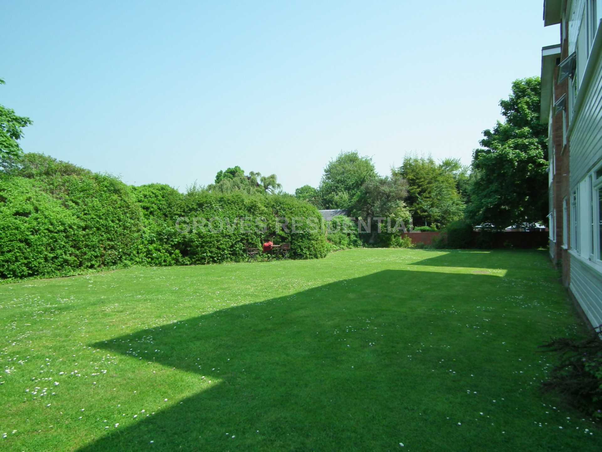 Sycamore Grove, New Malden, Image 7