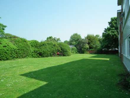 Sycamore Grove, New Malden, Image 7