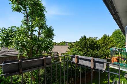 Thursley Garden, Southfields, SW19, Image 11