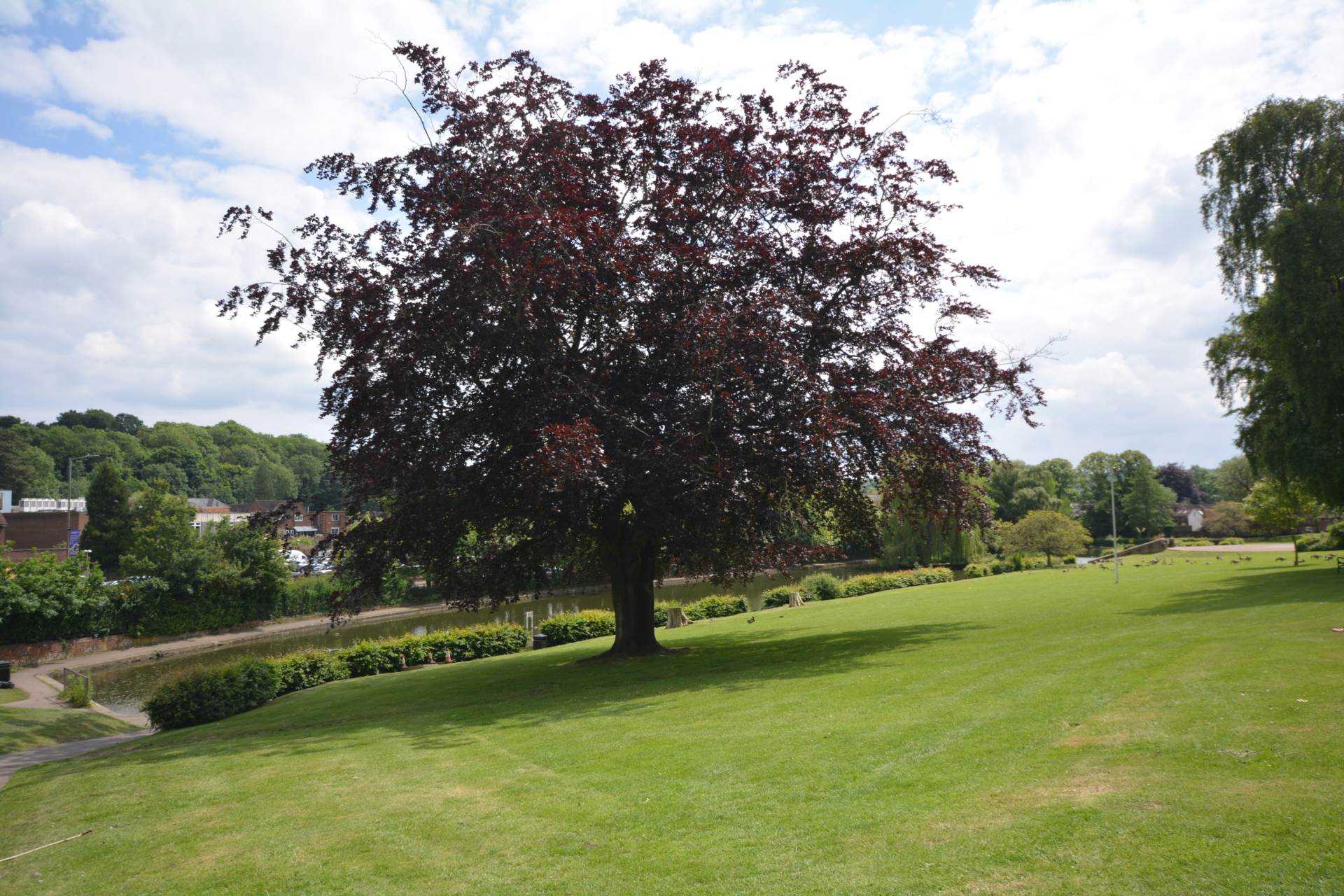 Broad Street, Chesham, Image 9