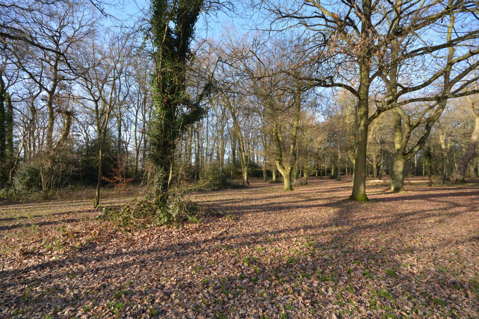 Longfield Drive, Amersham HP6, Image 19