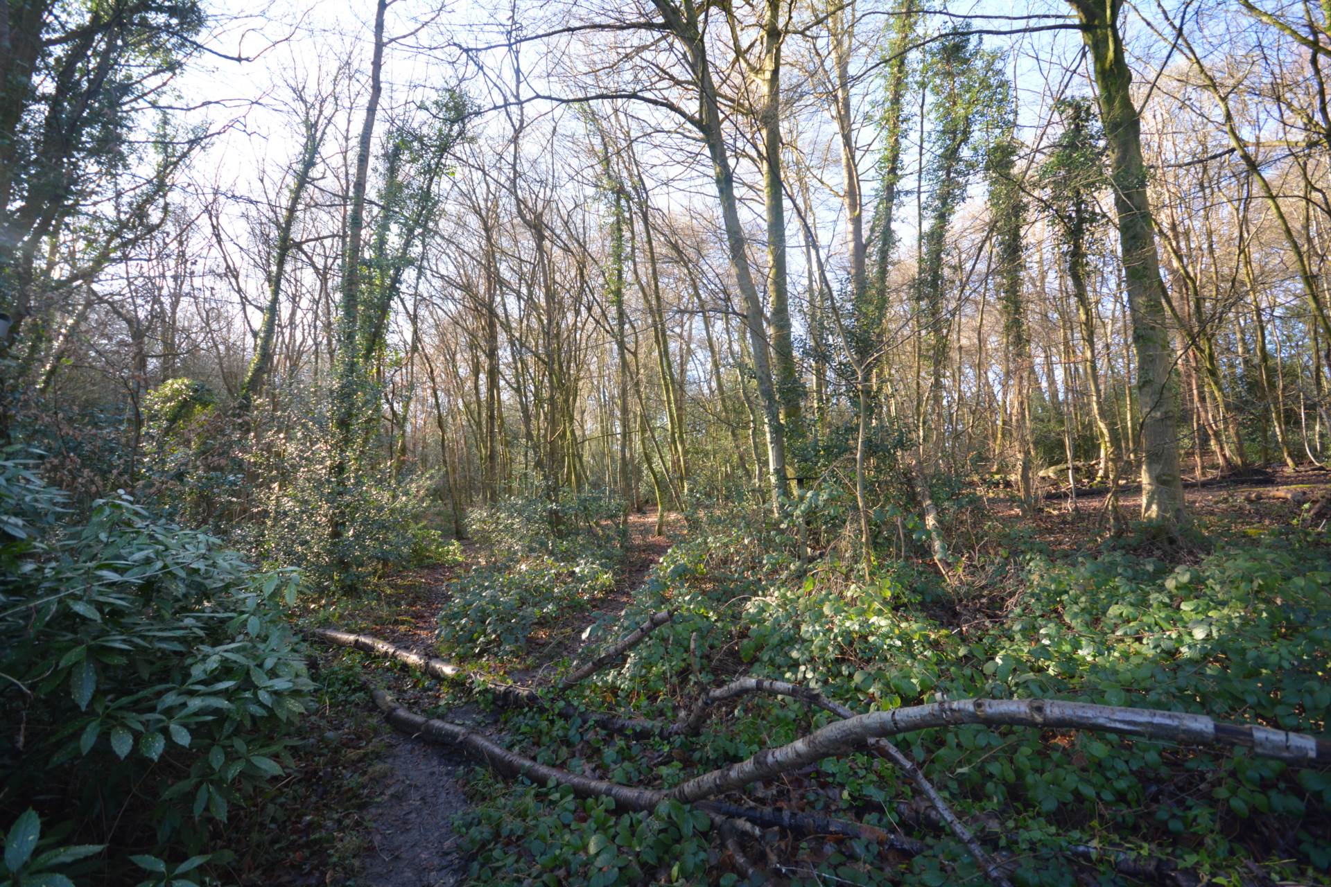 Station Road, Amersham, Image 23