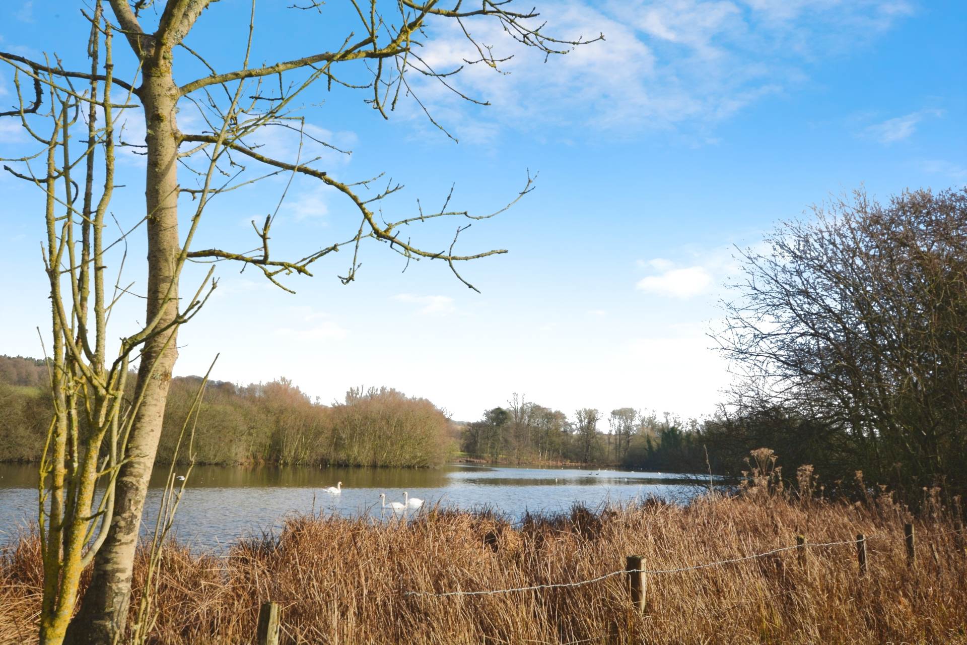 Missenden Road, Amersham, Image 28