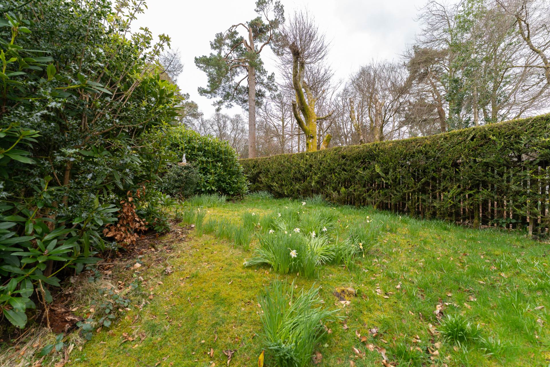 Auchenbothie Gardens, Kilmacolm, Image 37