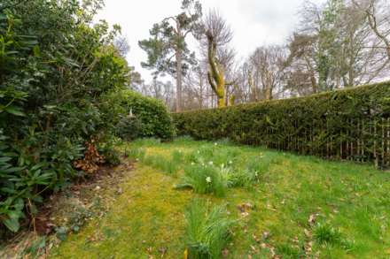 Auchenbothie Gardens, Kilmacolm, Image 37