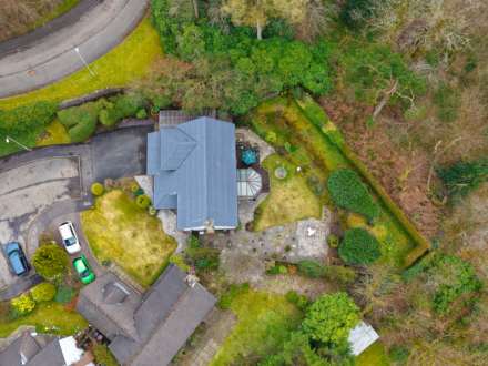 Auchenbothie Gardens, Kilmacolm, Image 40