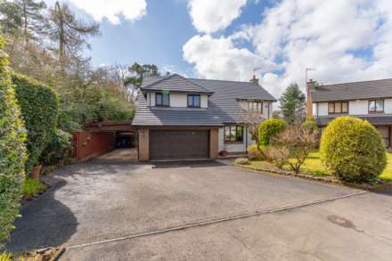 Auchenbothie Gardens, Kilmacolm, Image 42