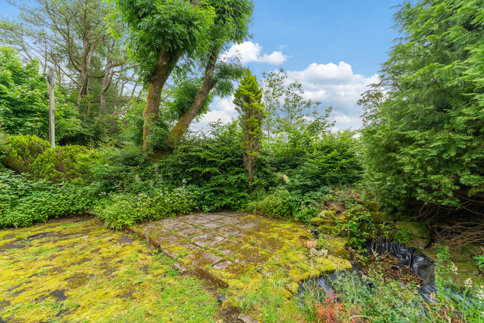 Balrossie Drive, Kilmacolm, Image 22