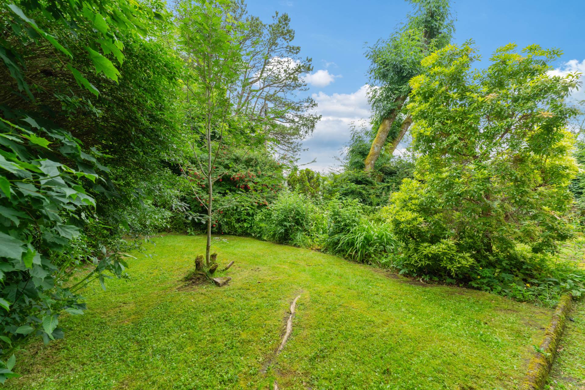 Balrossie Drive, Kilmacolm, Image 23