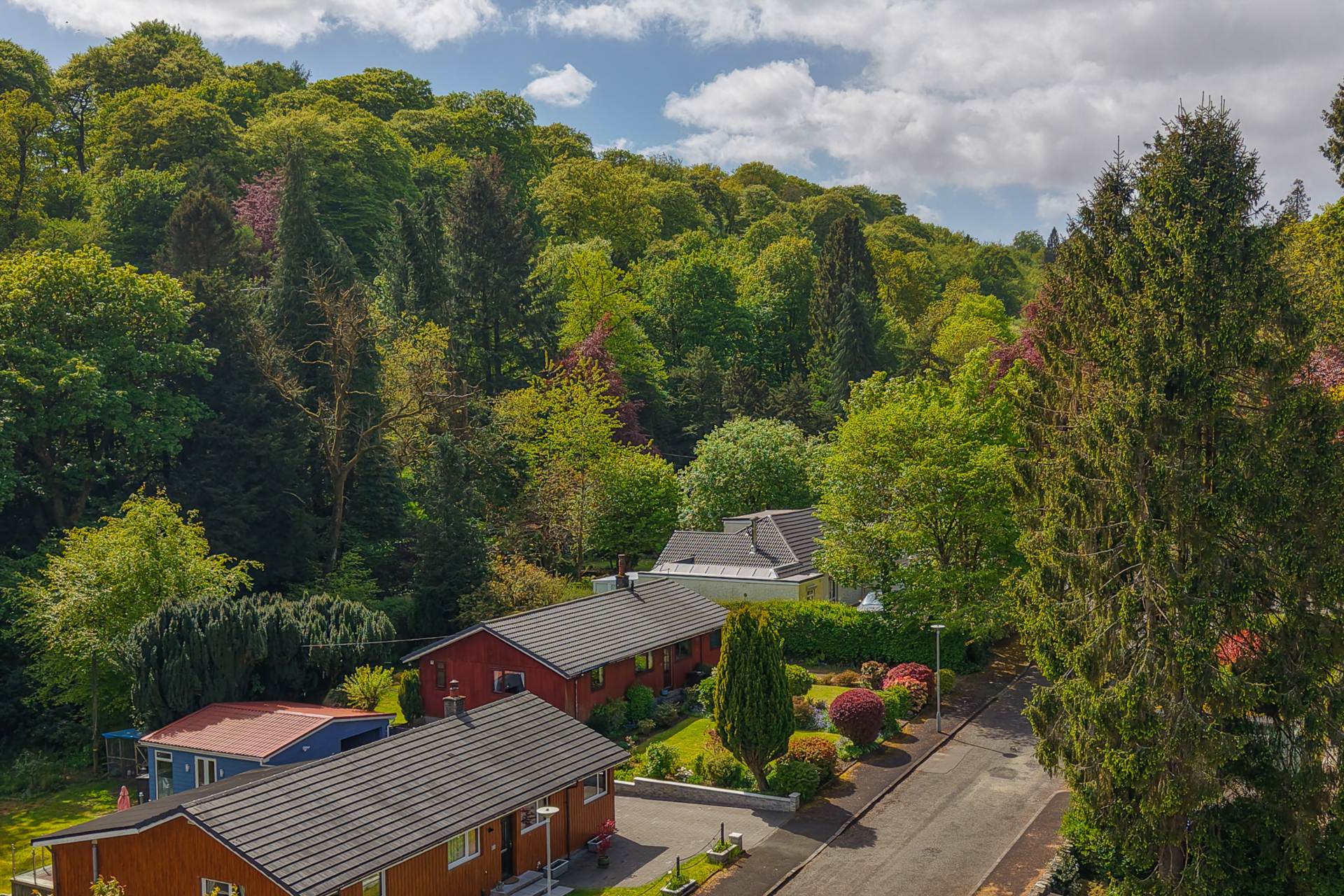 Cedar Court, Kilbarchan, Image 1